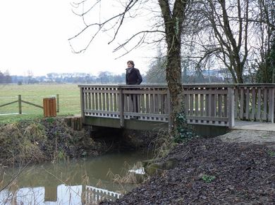 Passerelles en bois massif autoportées