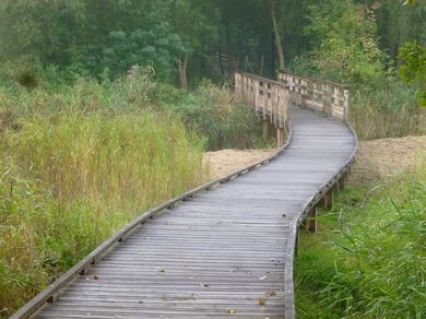 Image associÃ©e