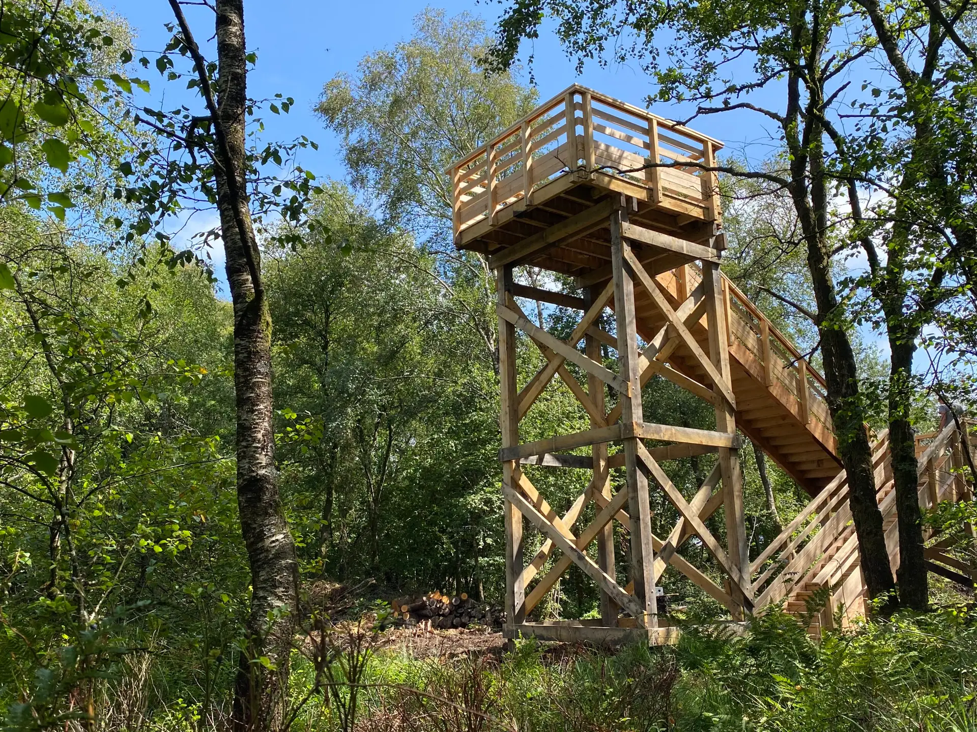 Point d'observation en bois