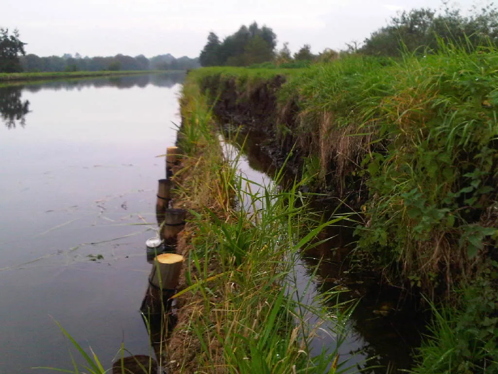 Fascines pour renaturalisassions de berges